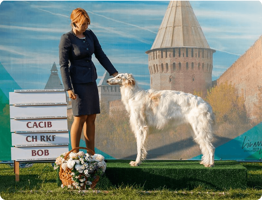 Ветеринарная клиника, ветклиника