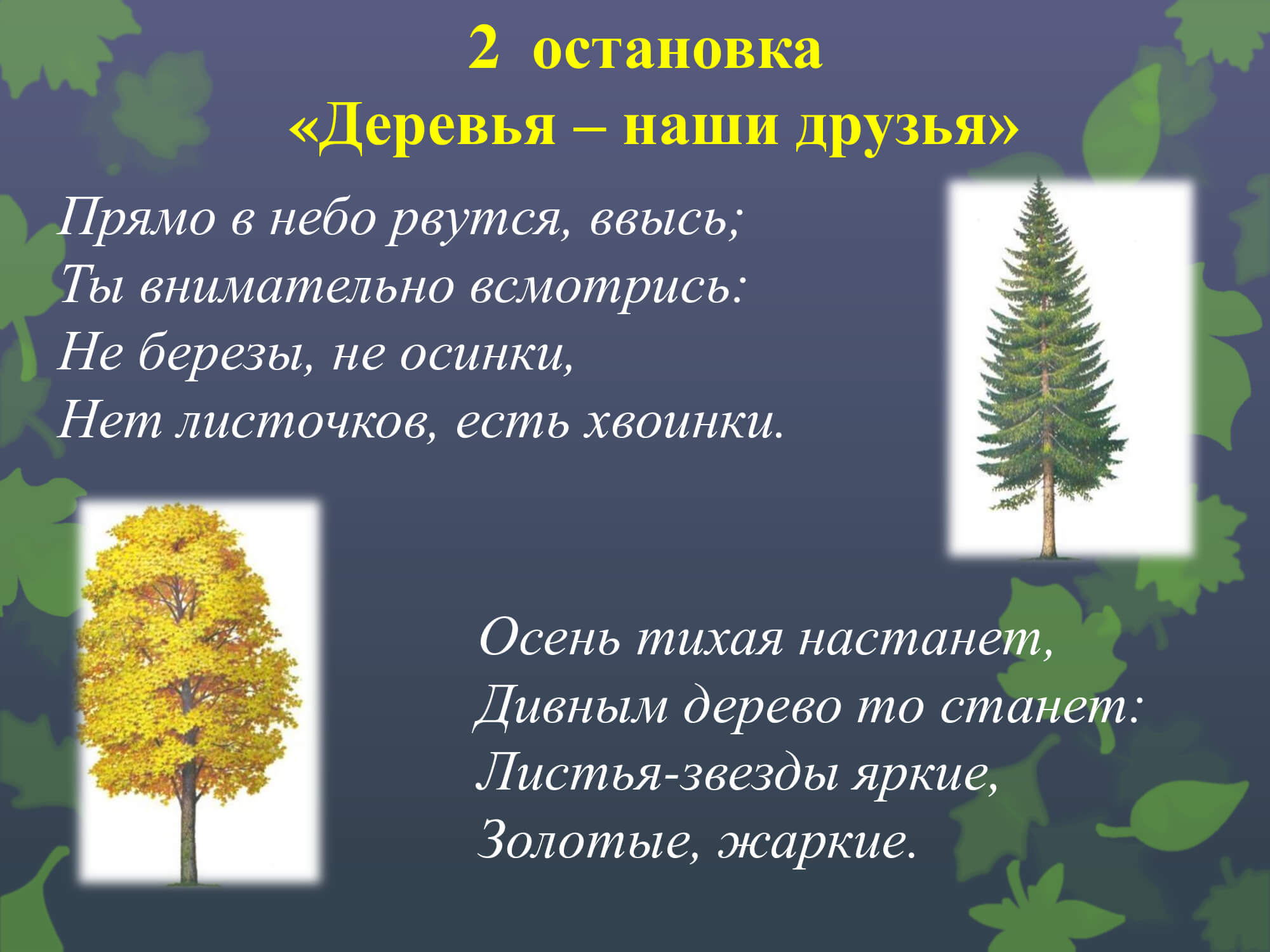 Загадка про дерево