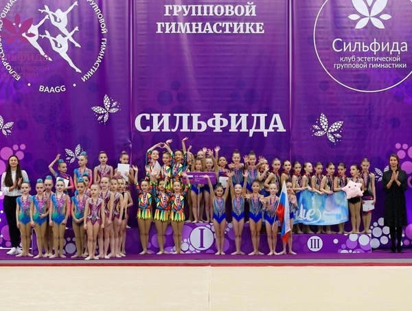 Организация турнира по художественной гимнастики