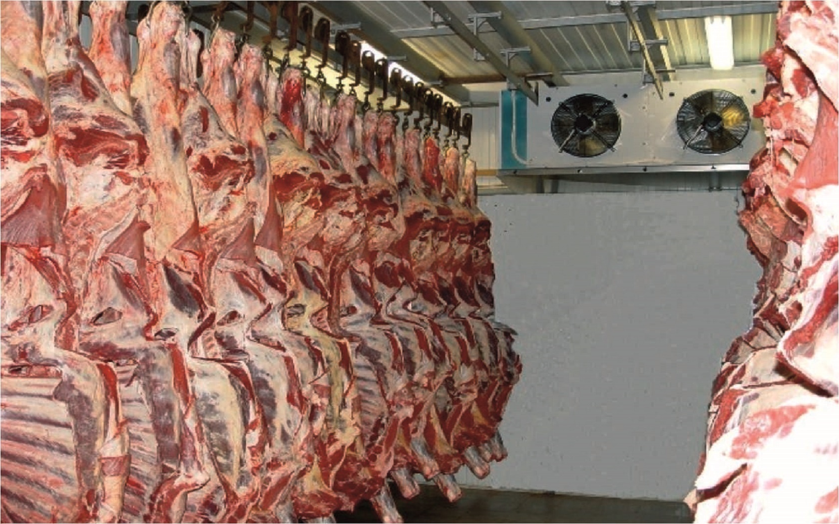Холодильный шкаф для хранения мяса