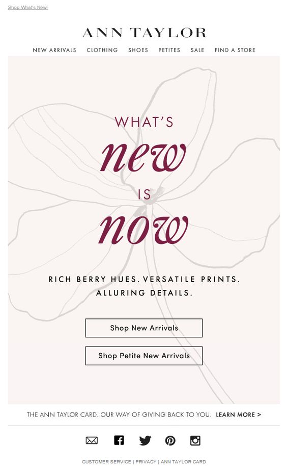 8 New Arrivals Email Examples and Templates