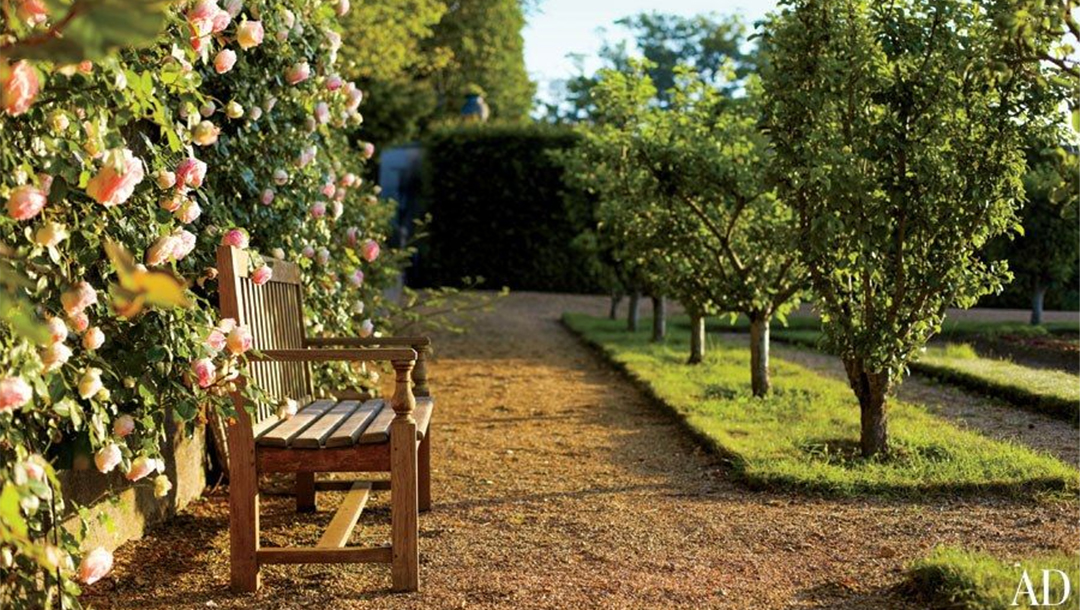 Плодовый сад дома. Шпалерные яблоневые сады. Дерево яблони Жарден. «Фруктовый сад» Сислея. Яблоневые сады в Италии.