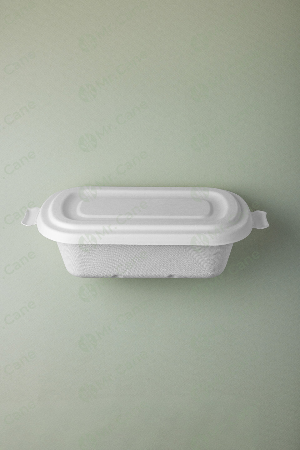 контейнер из сахарного тростника с крышкой