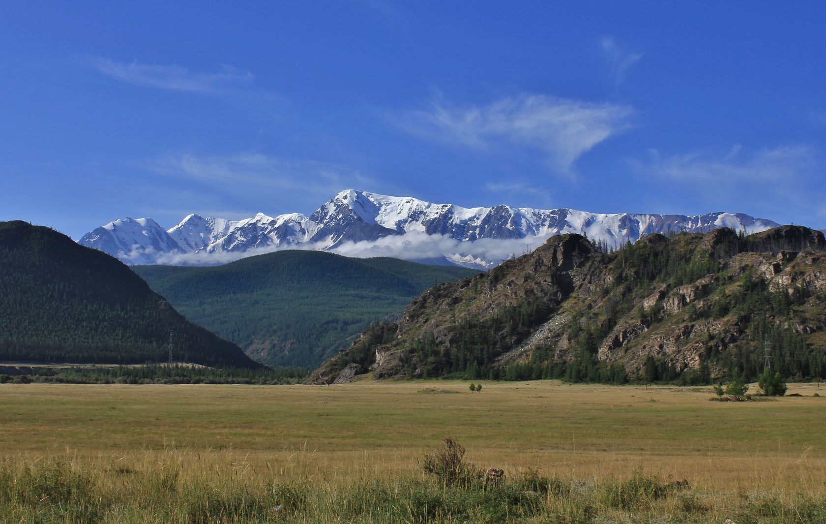 Куркурек вершина