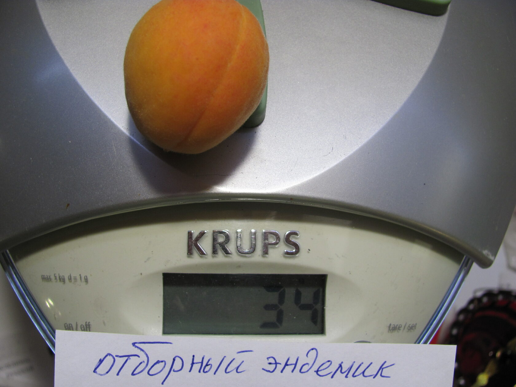 Эндемик отборный абрикос