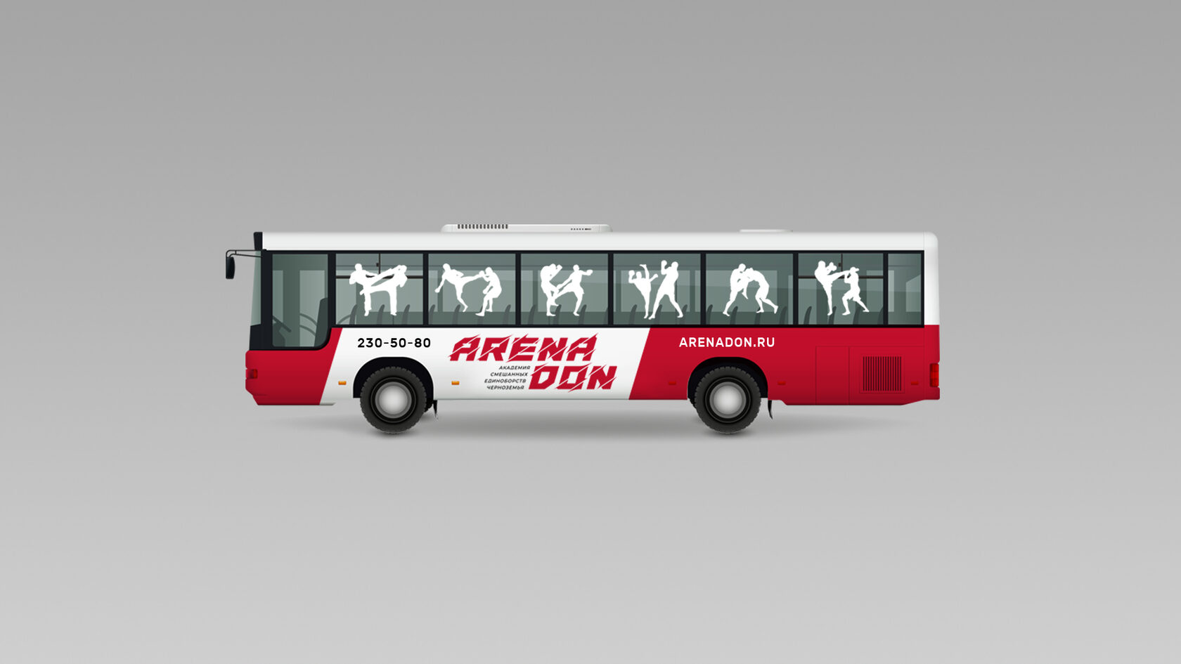 Arena Don – оригинальный материал проекта