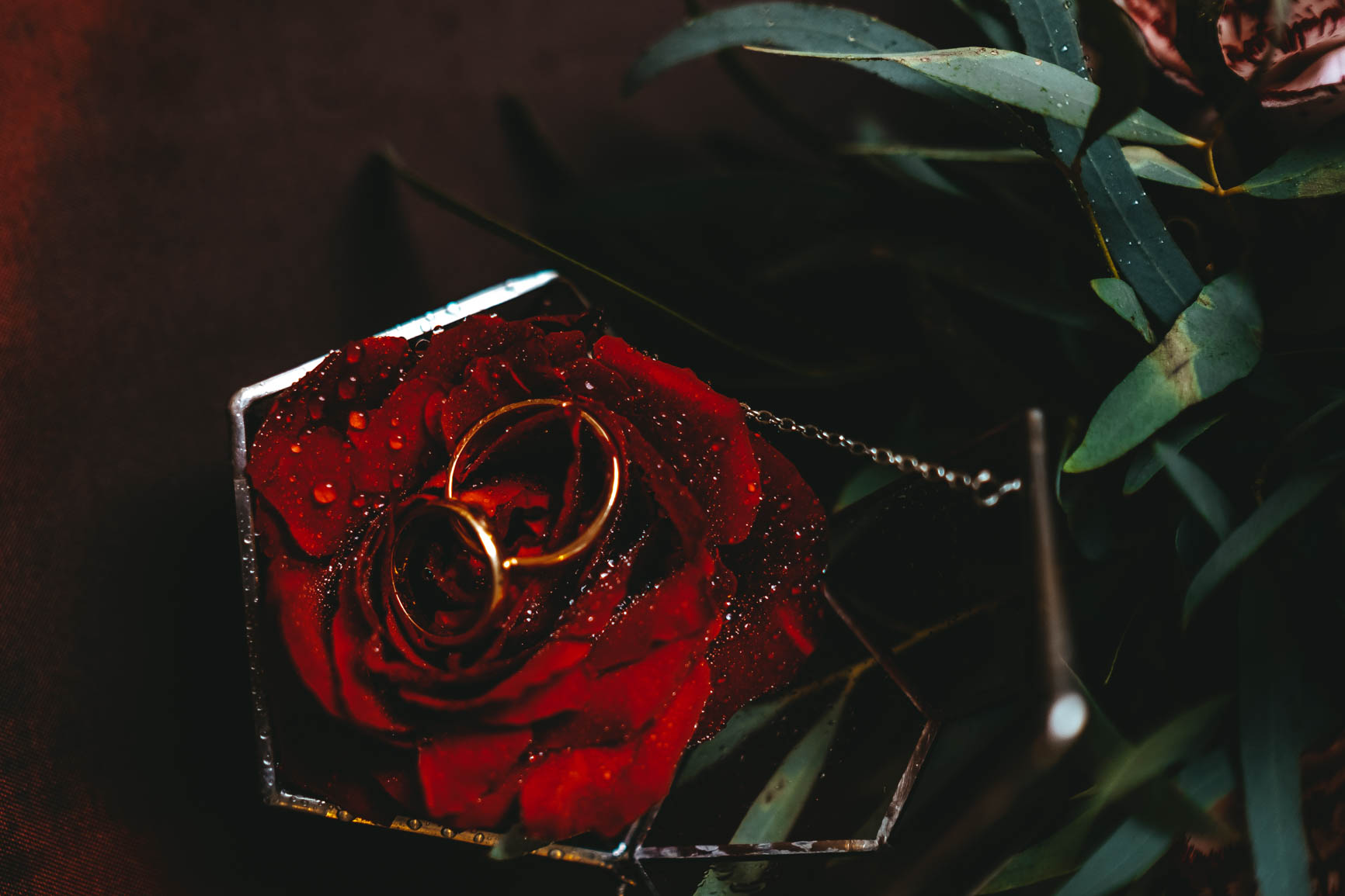 свадебная фотосессия в пушкине