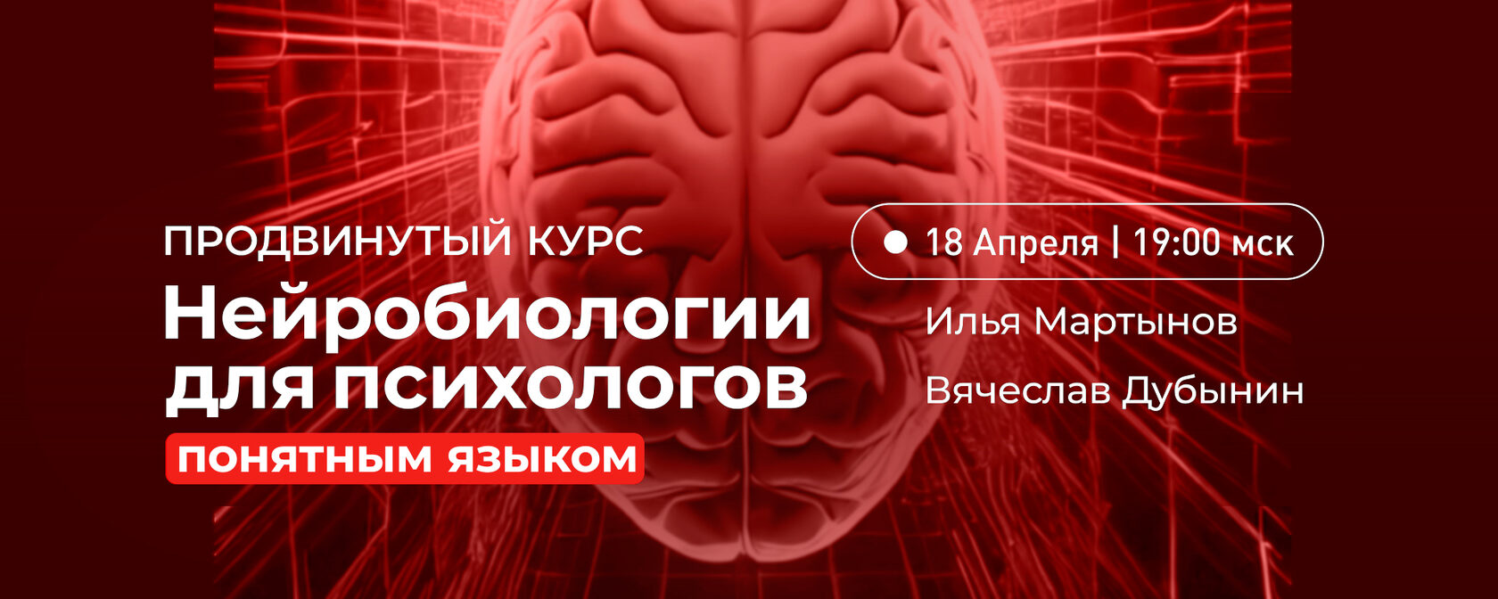 neuroilya.com