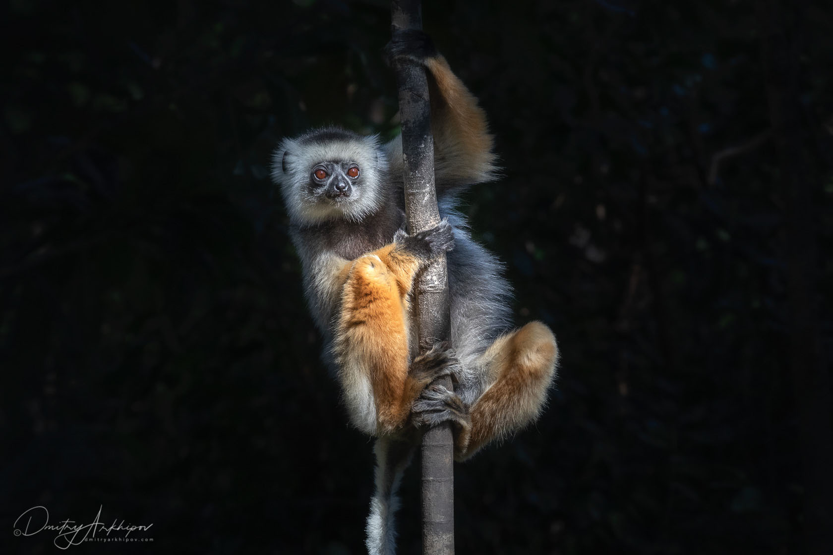 Madagascar photo tour - photo essay