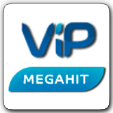 VIP MEGAHIT логотип. Канал VIP MEGAHIT. Телеканал VIP MEGAHIT HD. Канал VIP Serial.