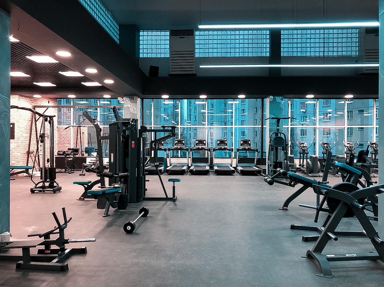 тренажерный зал арт. фитнес зал на гурьянова. печатники зал. объединение выставочные залы москвы. зал ссср кожуховская.