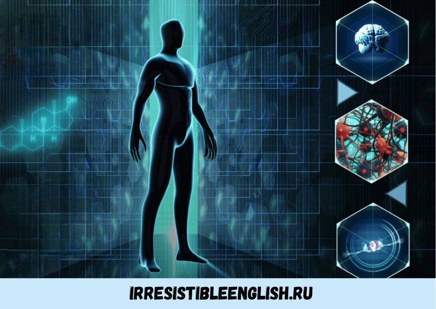 Parts of the Body Test