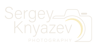 Company