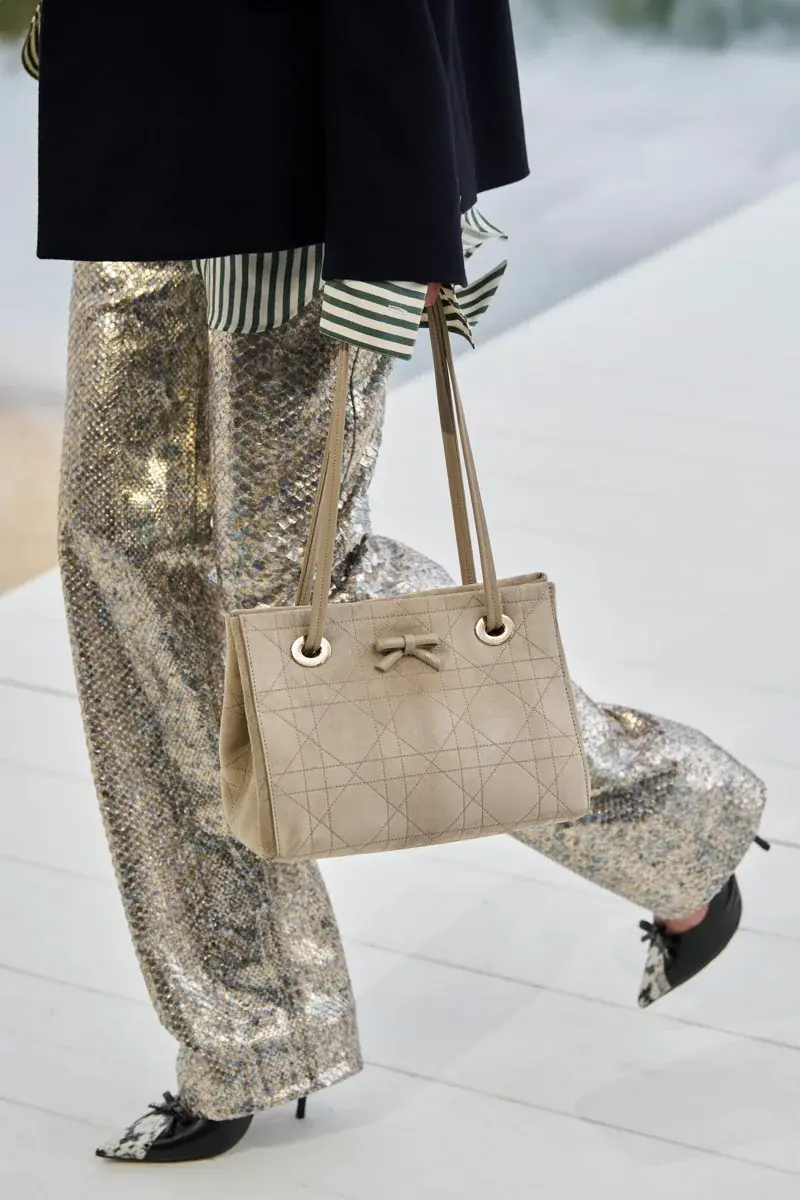 Сумки Dior Spring 2027 24