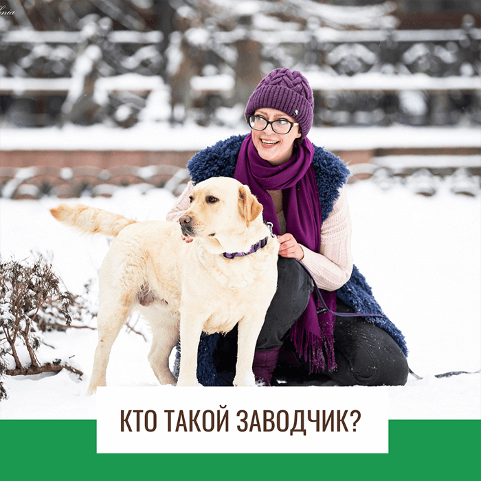 Все о лабрадорах. Кто такой заводчик, или что Вы с этого будете иметь?
