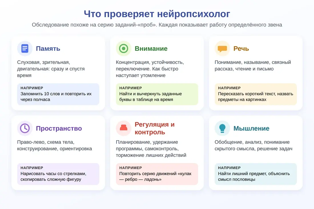 Что проверяет нейропсихолог: память, внимание, речь, пространство, регуляцию, мышление
