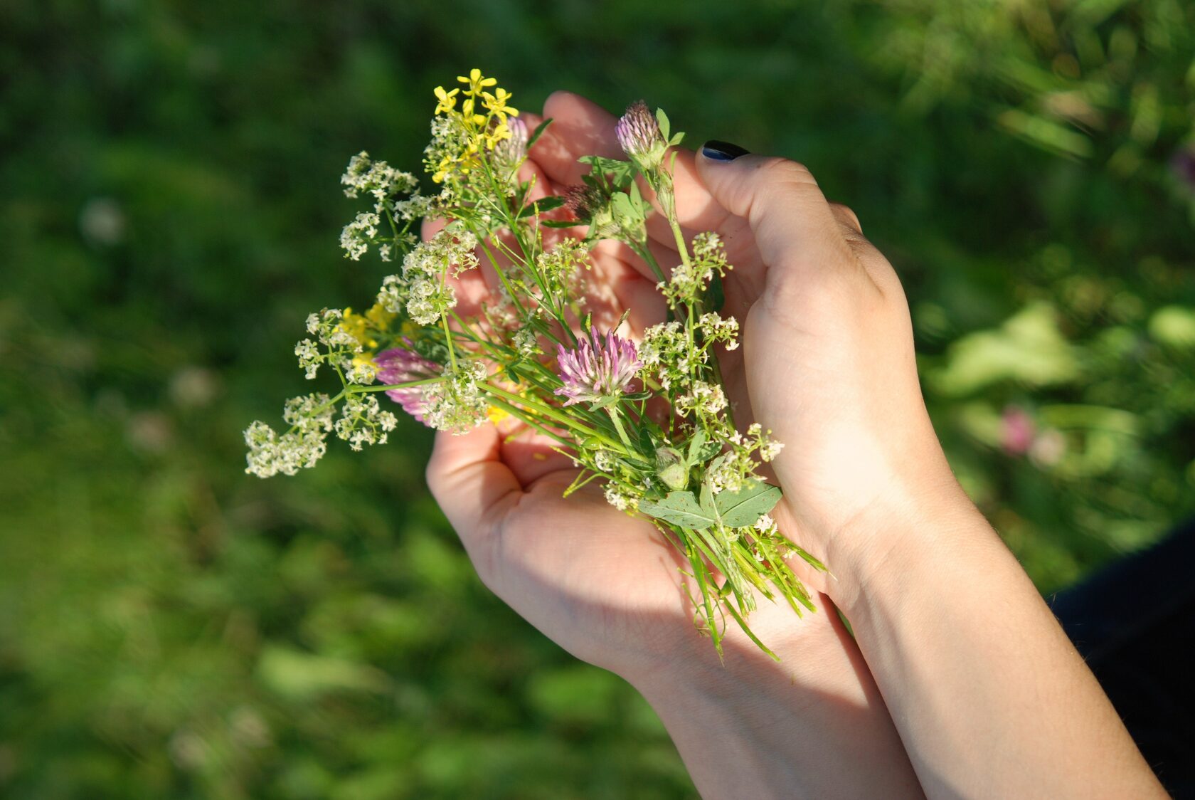 Букет полевых цветов в руках