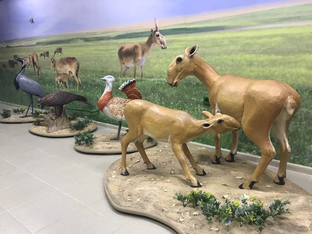 Муляжи для заповедника