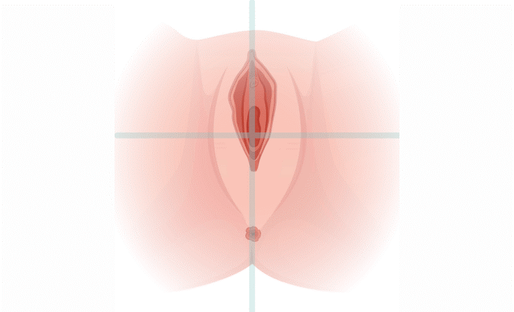 Какие вагины бывают? Классификация женских половых органов