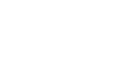 Corona Travel