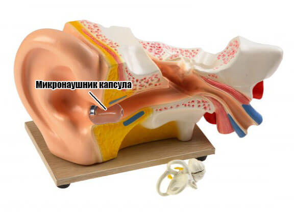 Как вставить микронаушник в ухо если не получается, капсульный и магнитный микронацшник