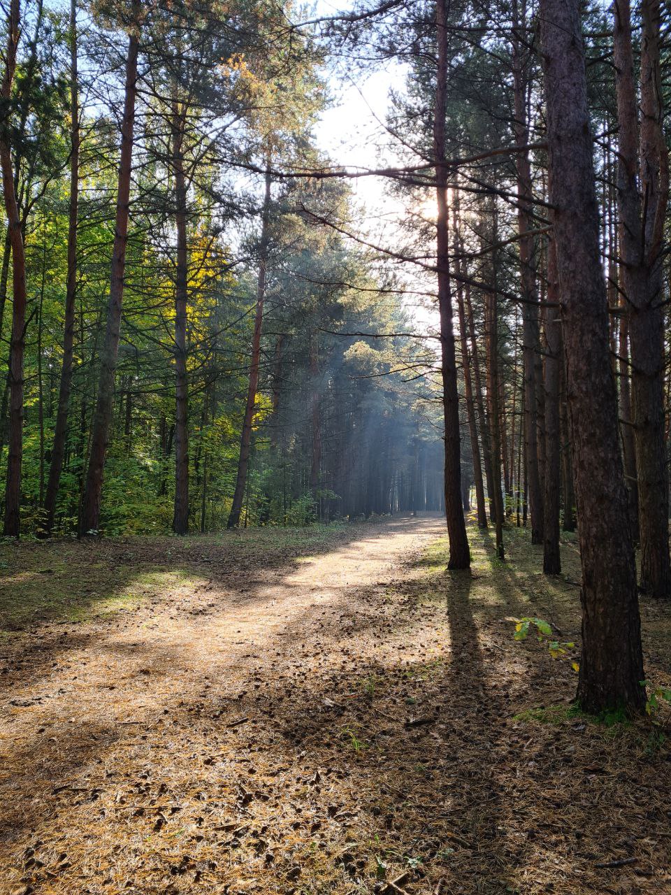 Парковка в Серебряном Бору