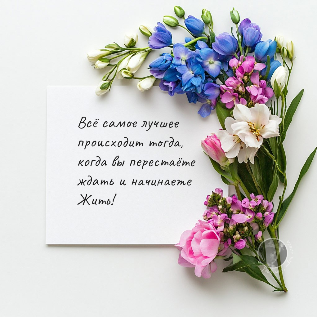 Цитата о настоящем моменте 863 из 12674