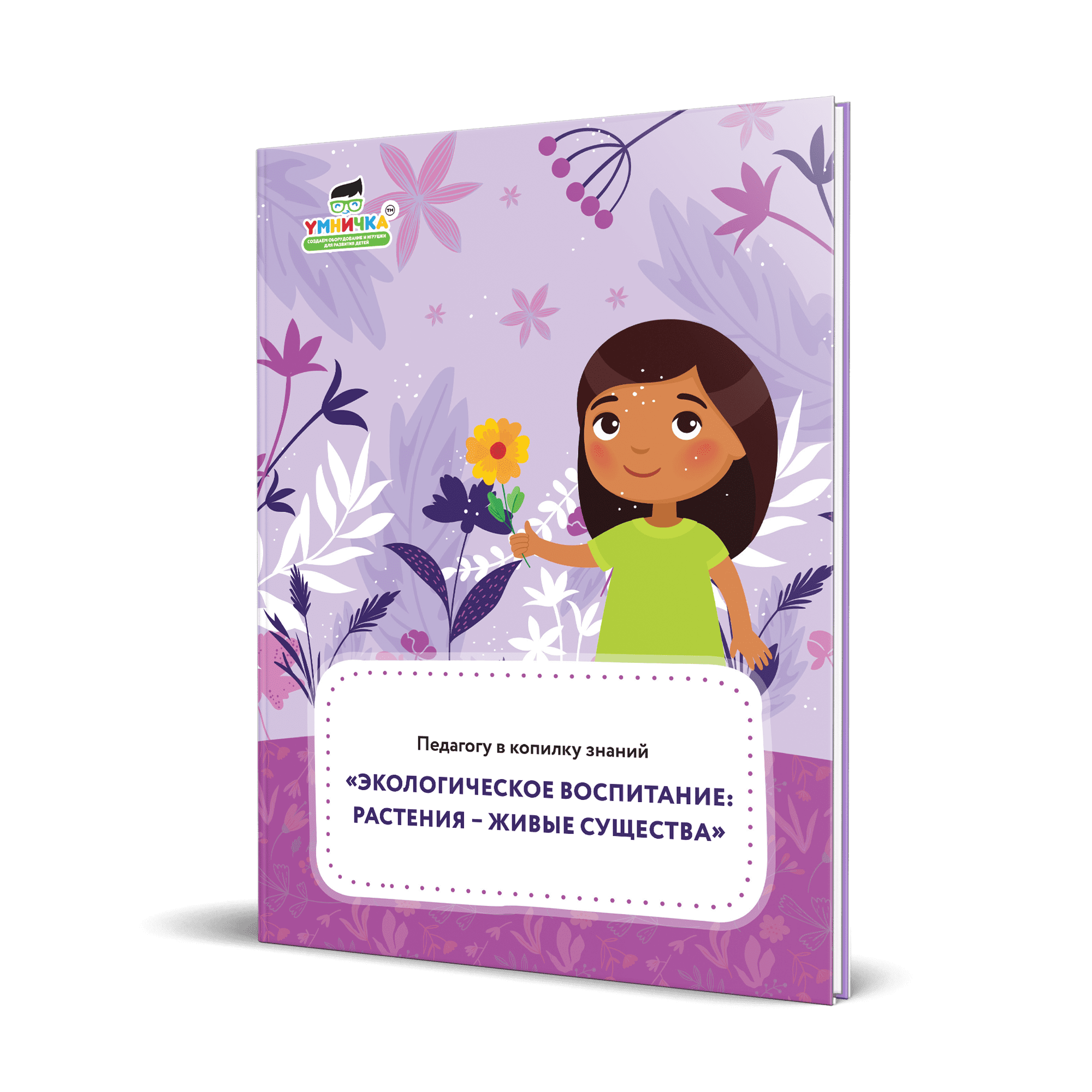 Метеостанция для детского сада, проект в ДОУ купить по низкой цене