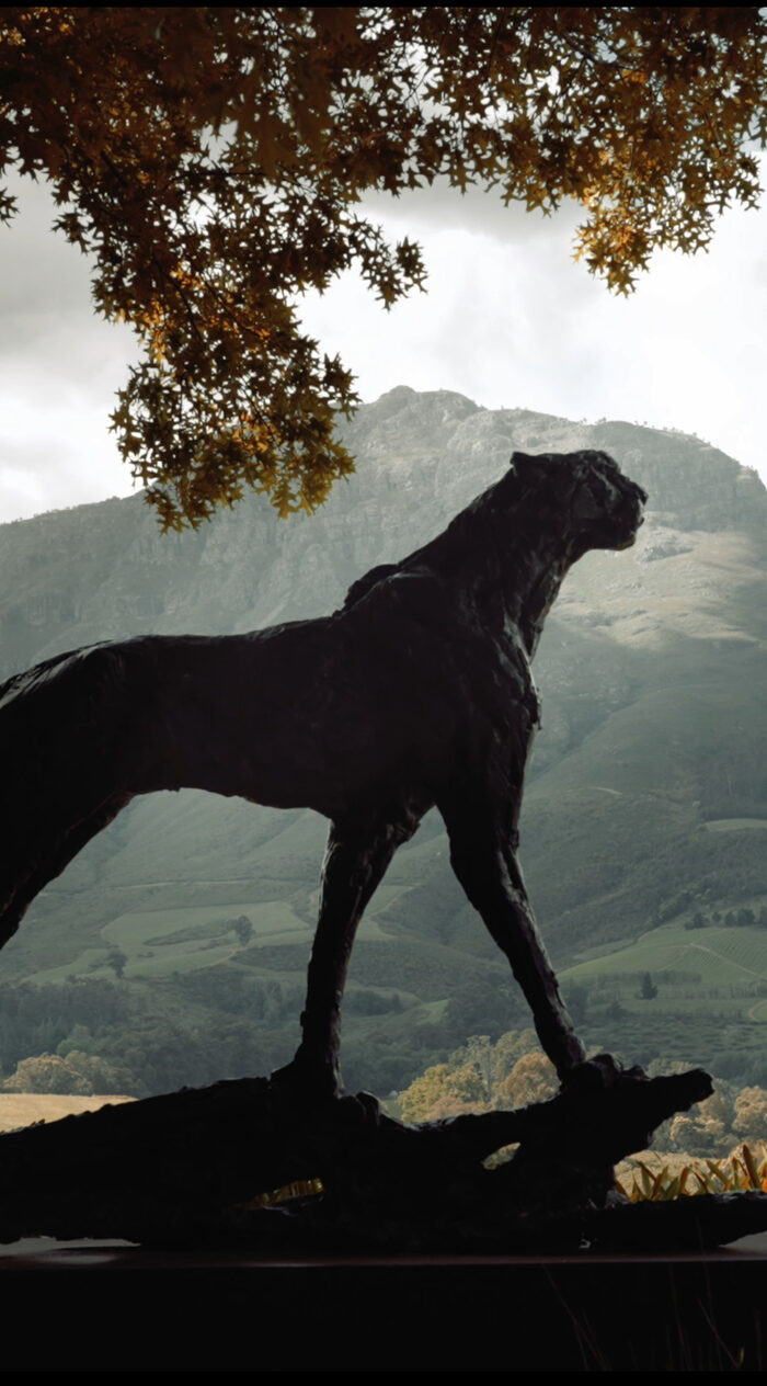 Винодельни