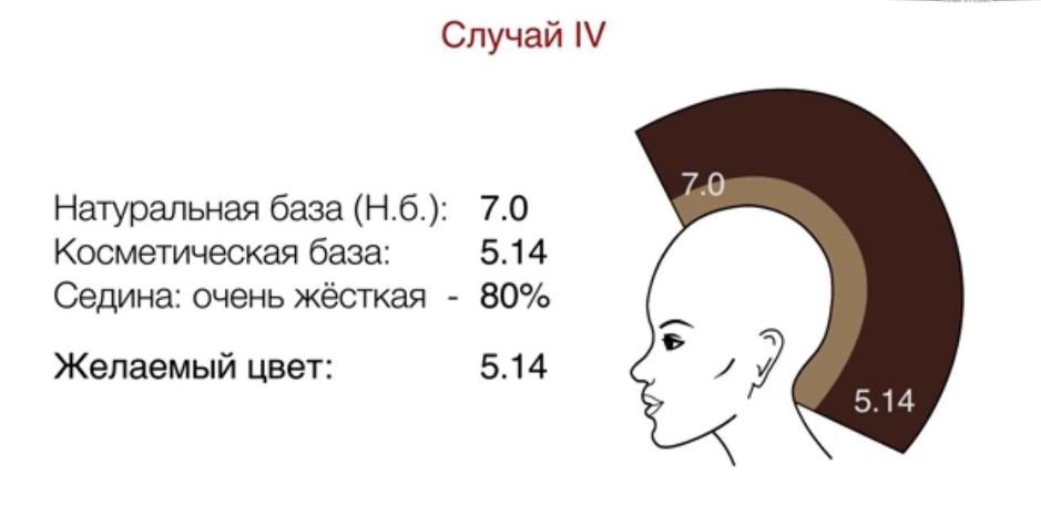 Натуральная база