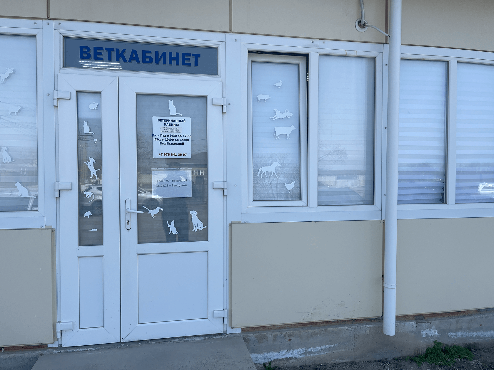 Ветеринарный кабинет, анализ помещения