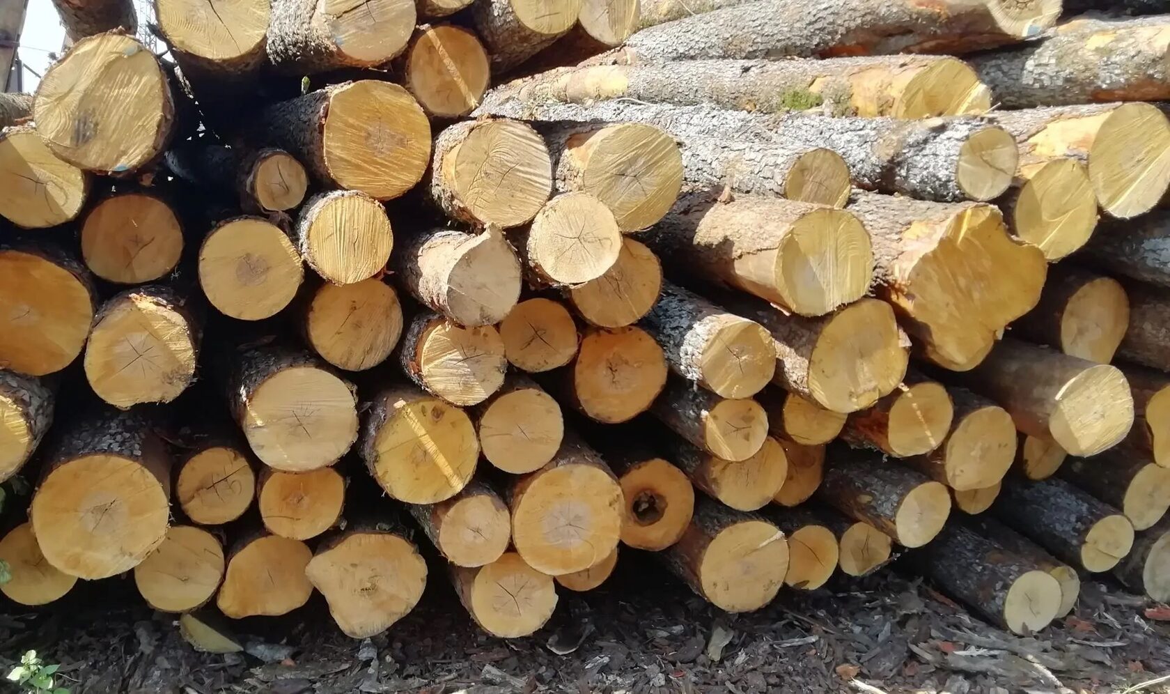 Приёмка и хранение сырья