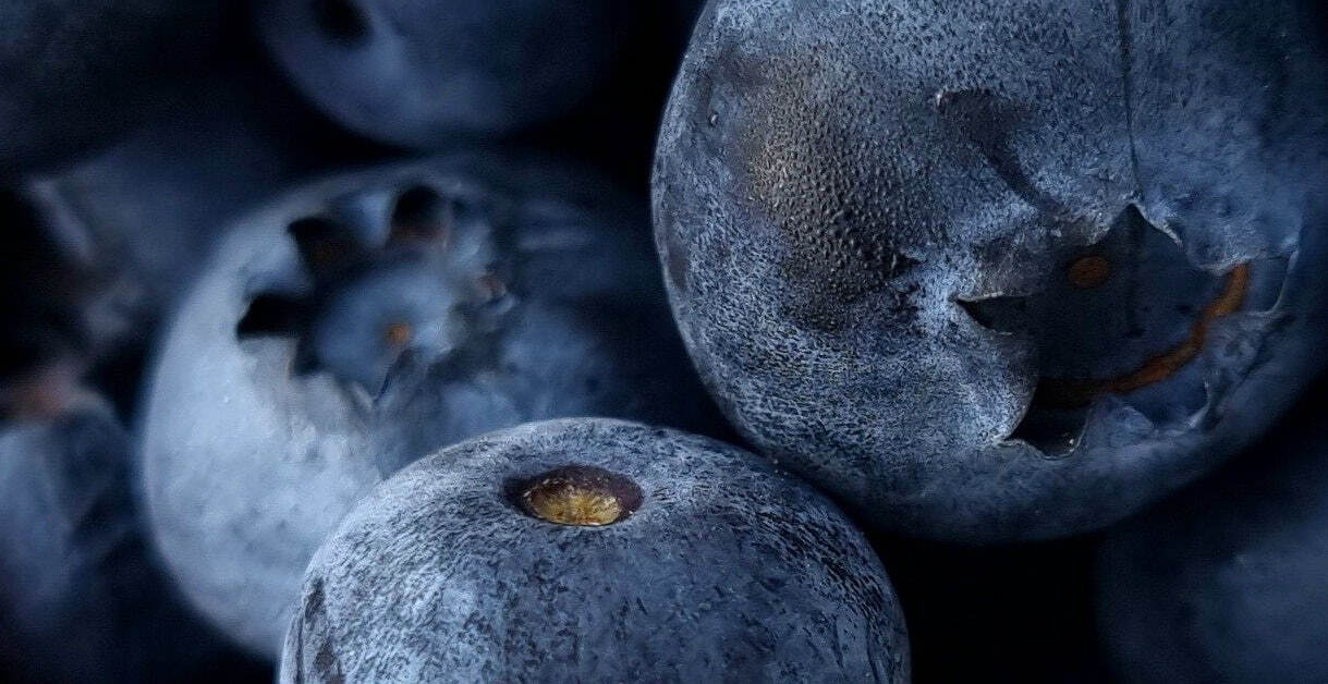 Berry macro — wide crop
