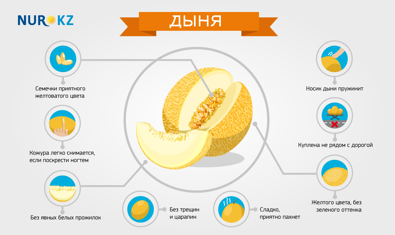 Польза дыни для здоровья человека. Как выбрать дыню. Дыня торпеда. Выбрать дыню торпеду. Как правильно выбрать дыню торпеду.