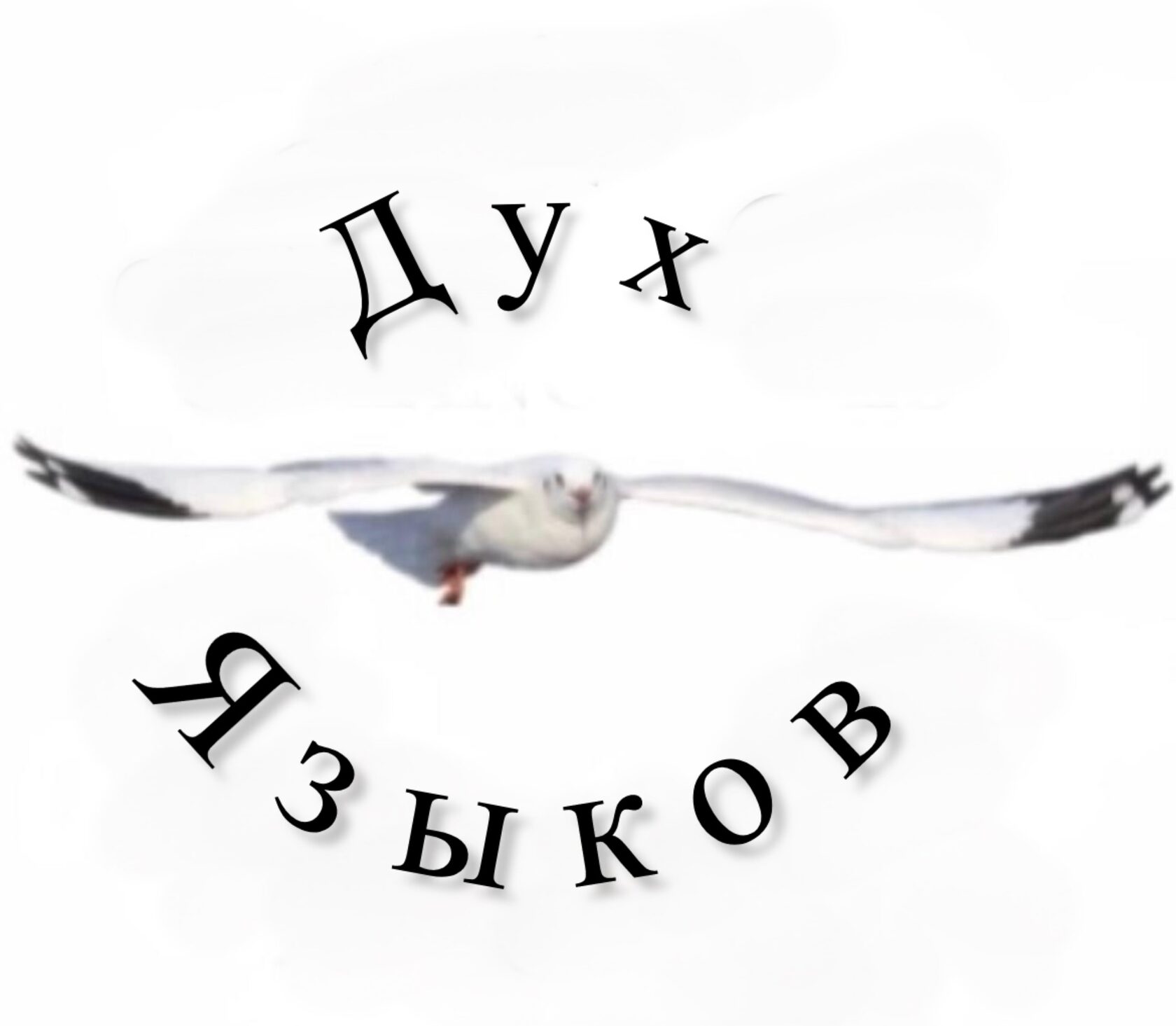 Центр креативного изучения иностранных языков