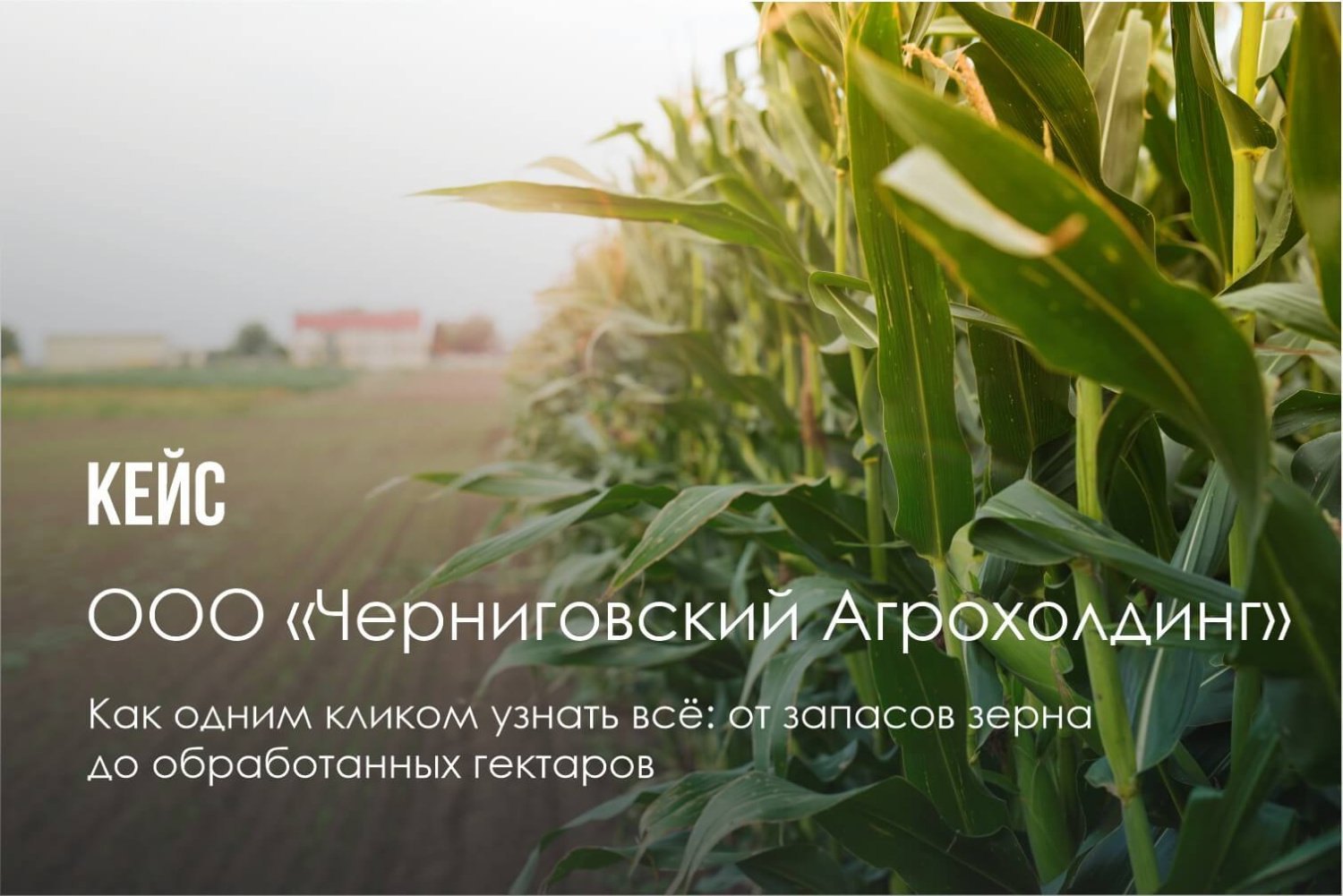 Черниговский Агрохолдинг
