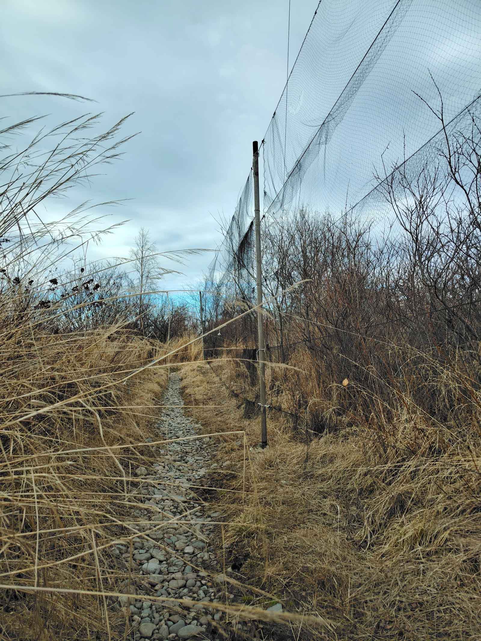 Станция кольцевания 