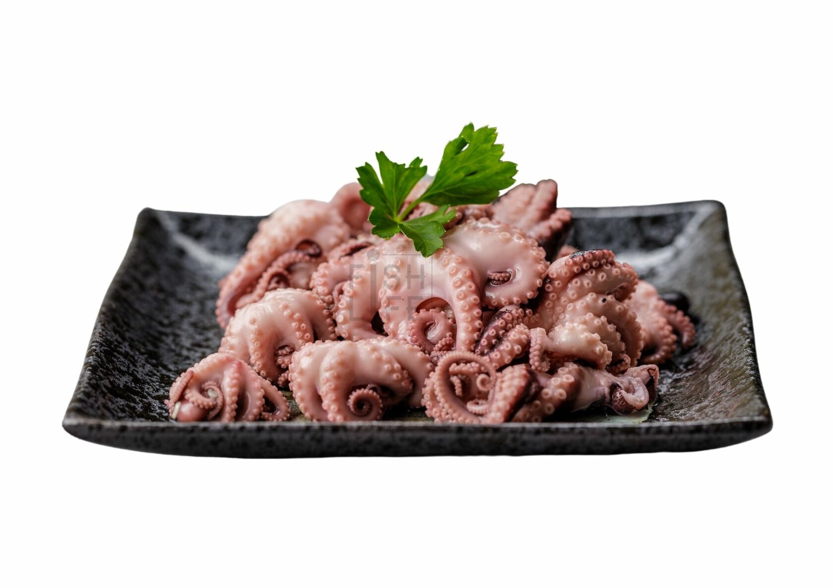 Мини осьминоги. Мини осьминоги. Осьминоги молодые. Мини осьминоги. Мини осьминоги.