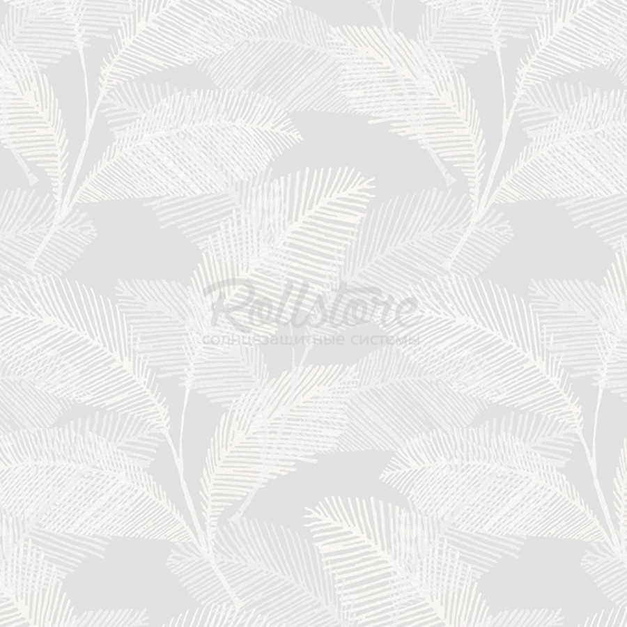 Анже апельсин