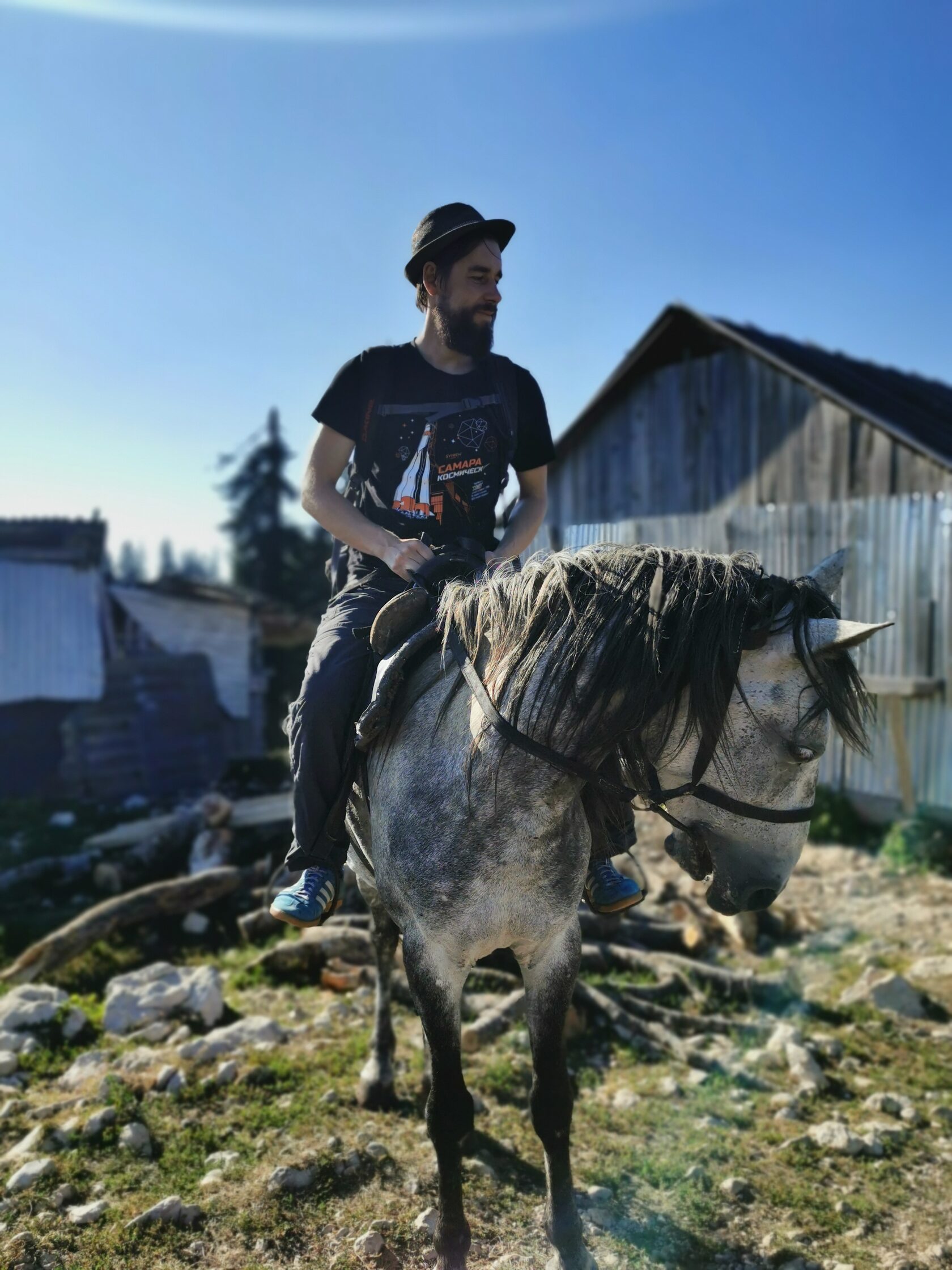 Прогулки на лошадях Мамдзышха