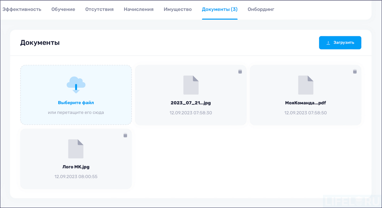 HR-автоматизация, HR-платформа, МояКоманда HCM, LMS, LXP, HCM, Пульс HR