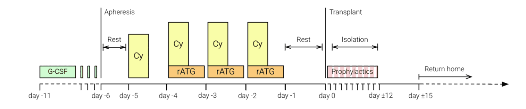 HSCT Protocol Comparison
