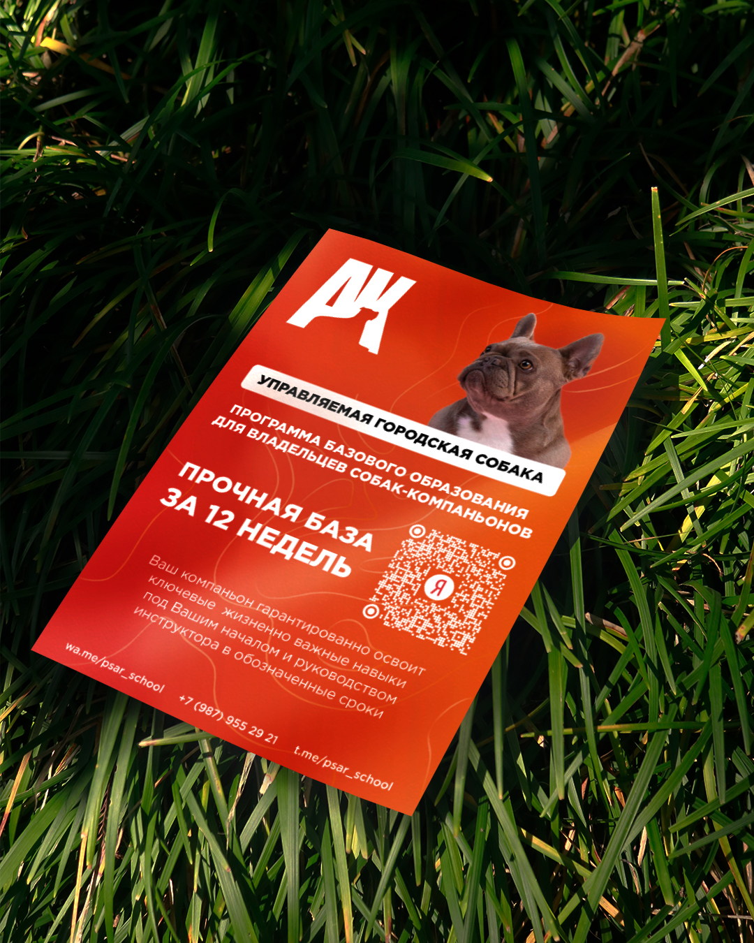 Листовка, банер, флаер