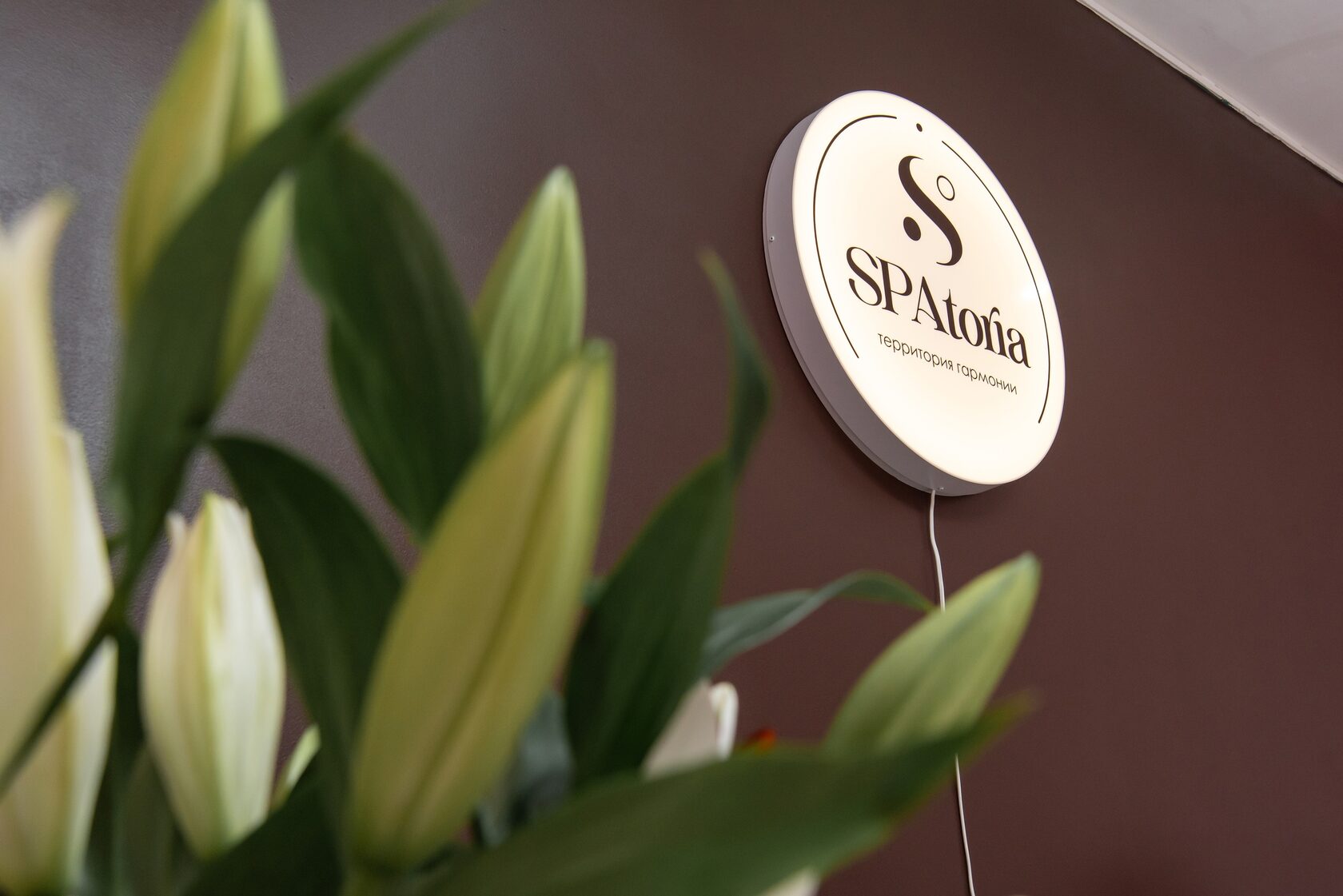 SPA-программа «Ключ здоровья»