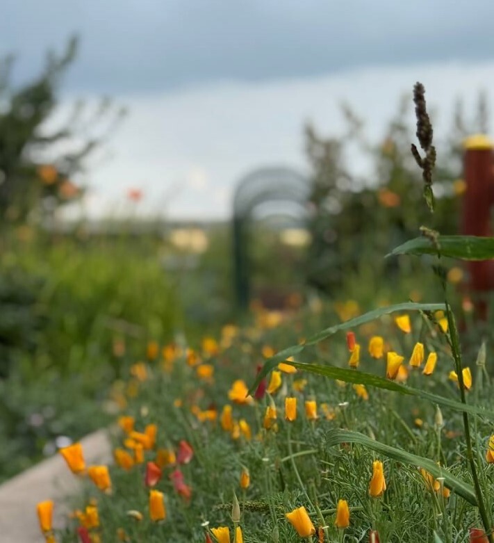 База отдыха| Глэмпинг "Улей" недалеко от Уфы