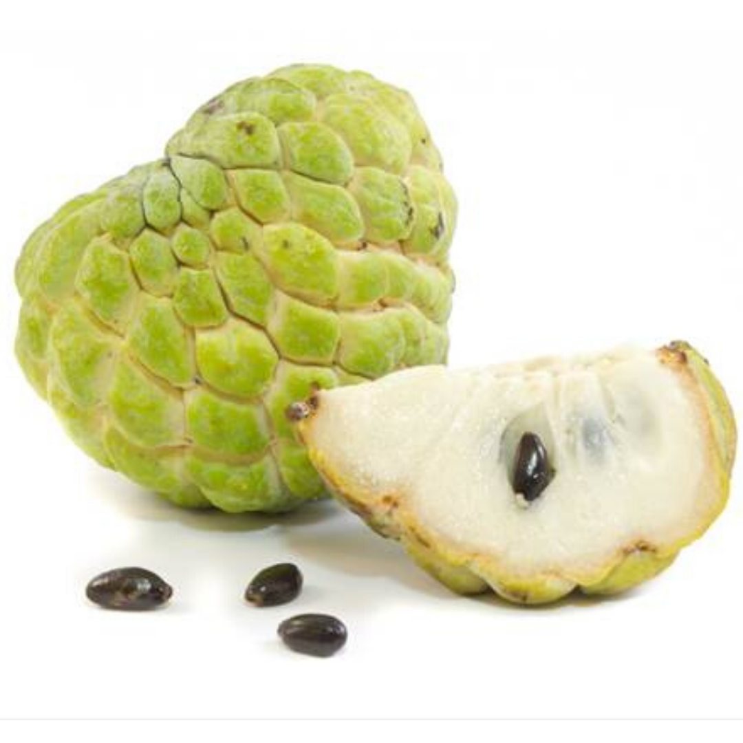 Тропический фрукт рода аннона. Черимойя. Тропический фрукт черимойя. Custard Apple фрукт. Сахарное яблоко черимойя.