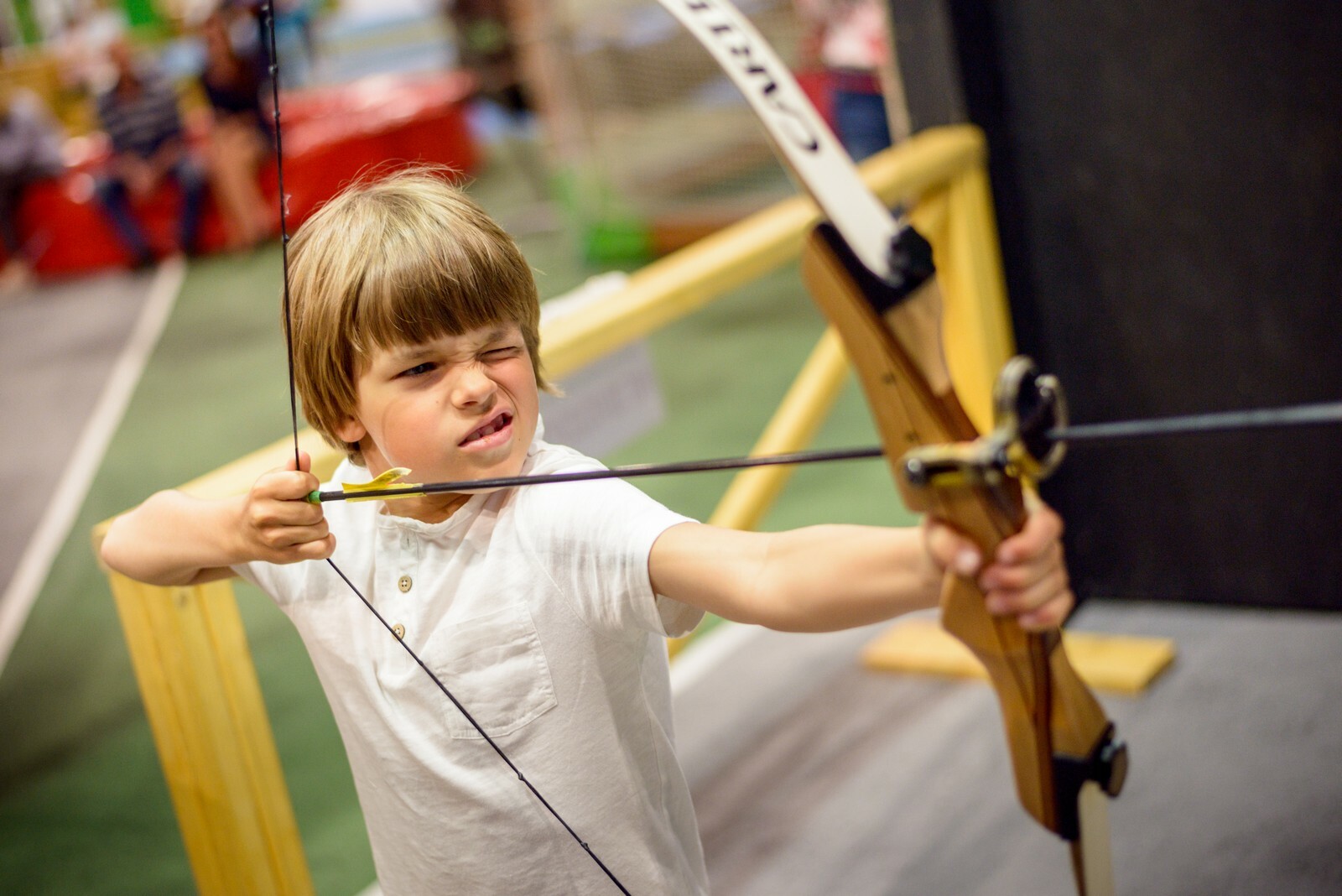 Archery стрельба из лука