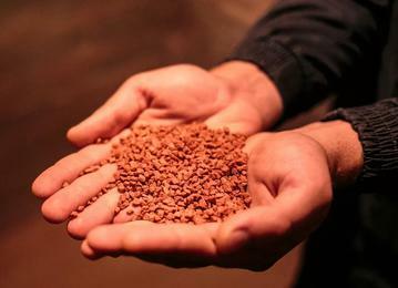 Почему лучше и как применять фосфорно-калийные удобрения осенью