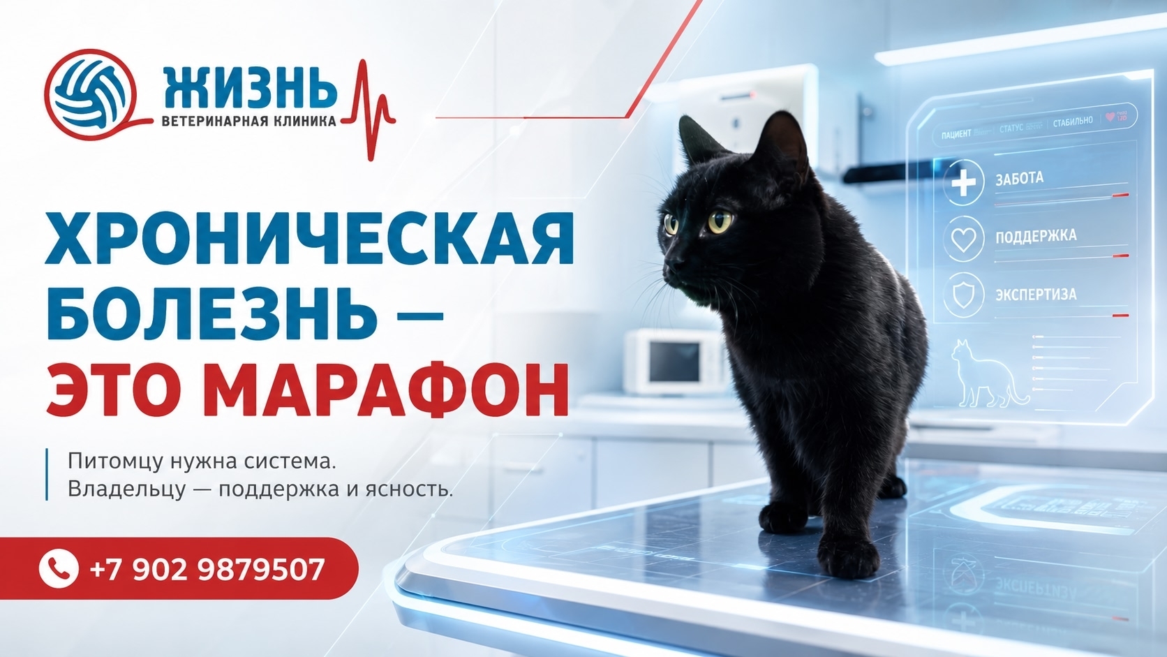 Ветеринараня клиника в Калуге Жизнь