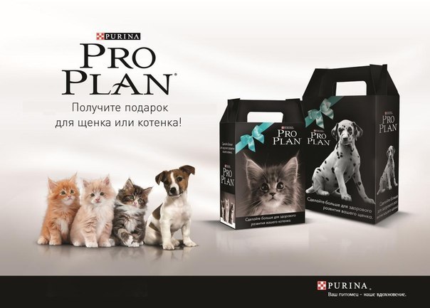 Про план логотип